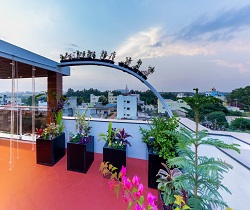 Plant Craft Features